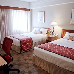 Superior Double Room Two Double Beds
